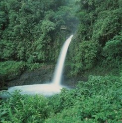 Wasserfall