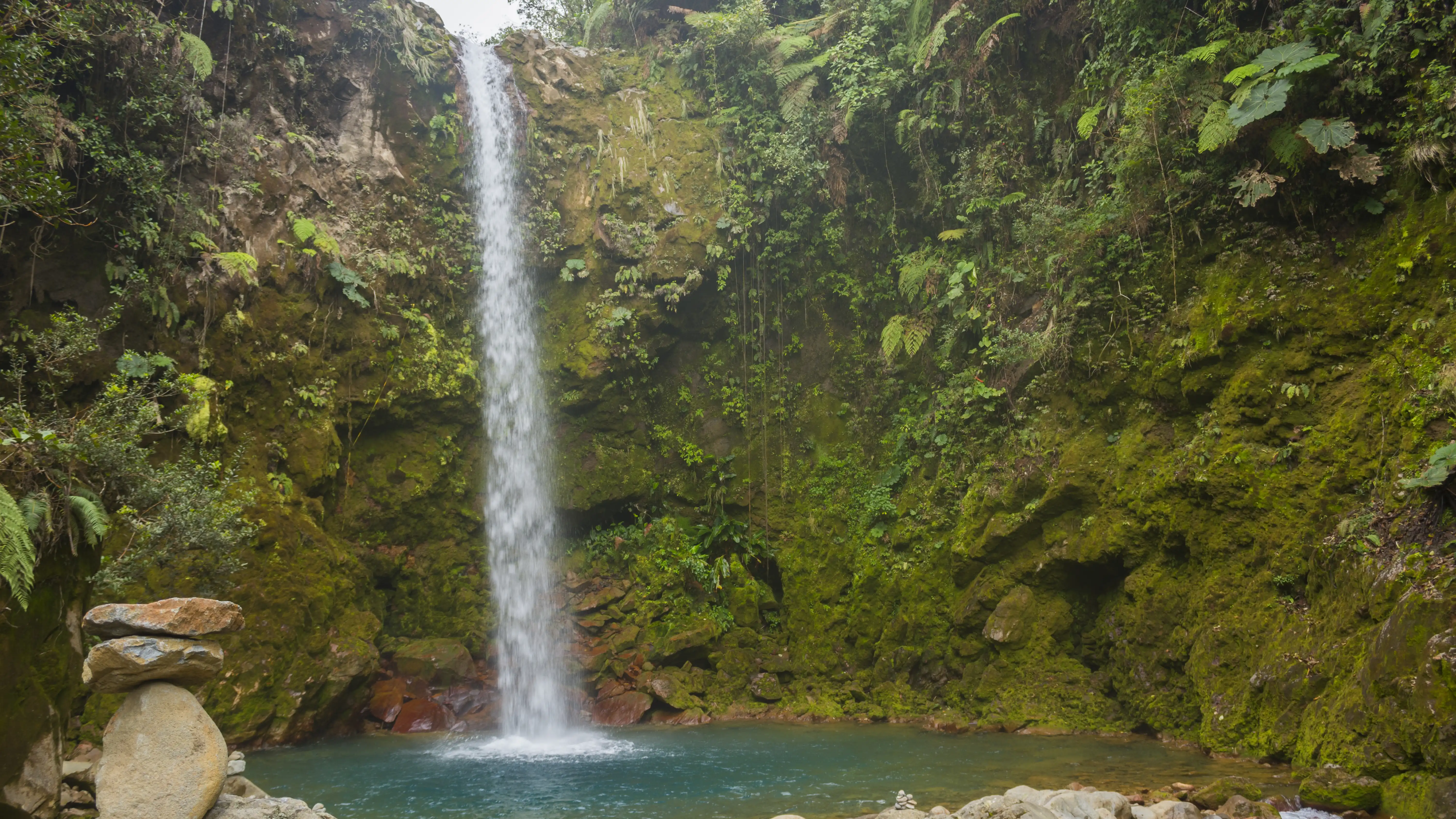 Ein großer Wasserfall inmitten eines Waldes.