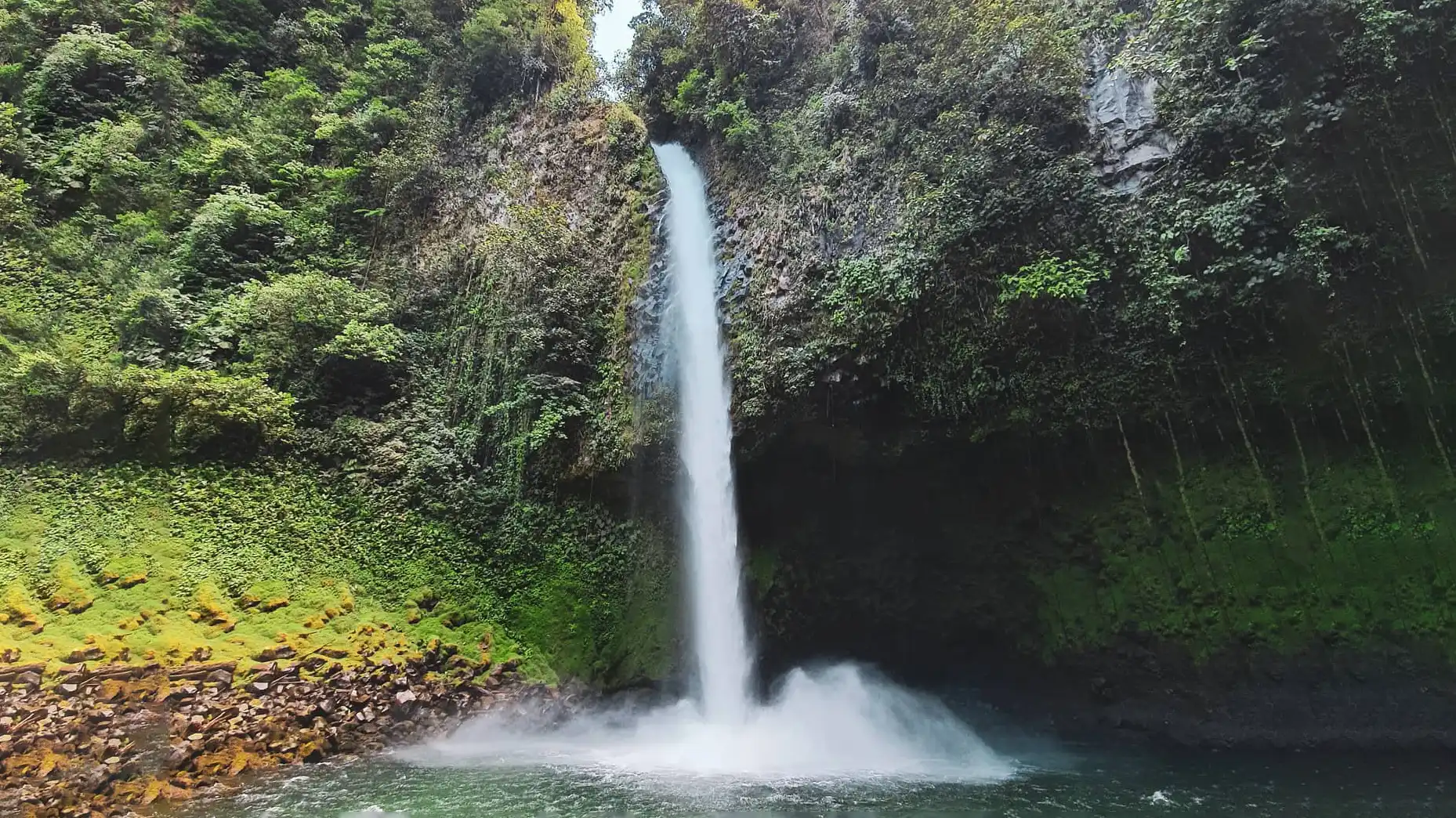 Ein Wasserfall inmitten eines üppigen grünen Waldes.