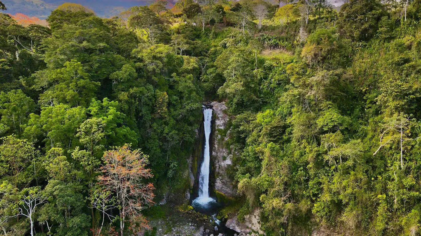 Ein Wasserfall inmitten eines Waldes.
