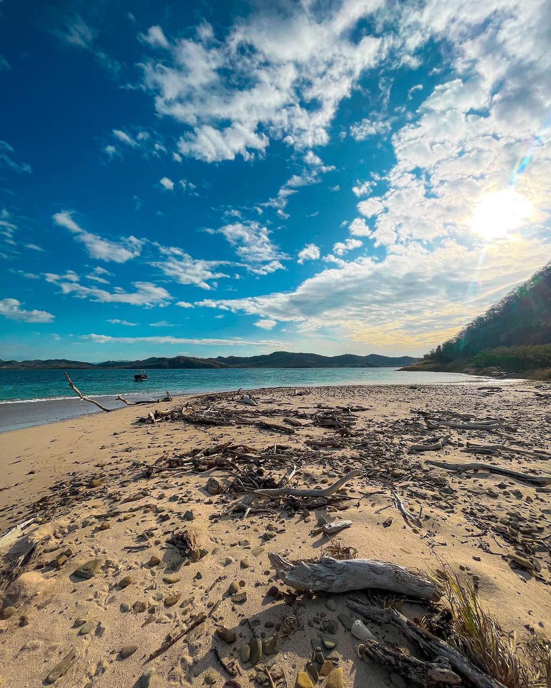 Ein Strand, an dem es viele Bäume gibt.