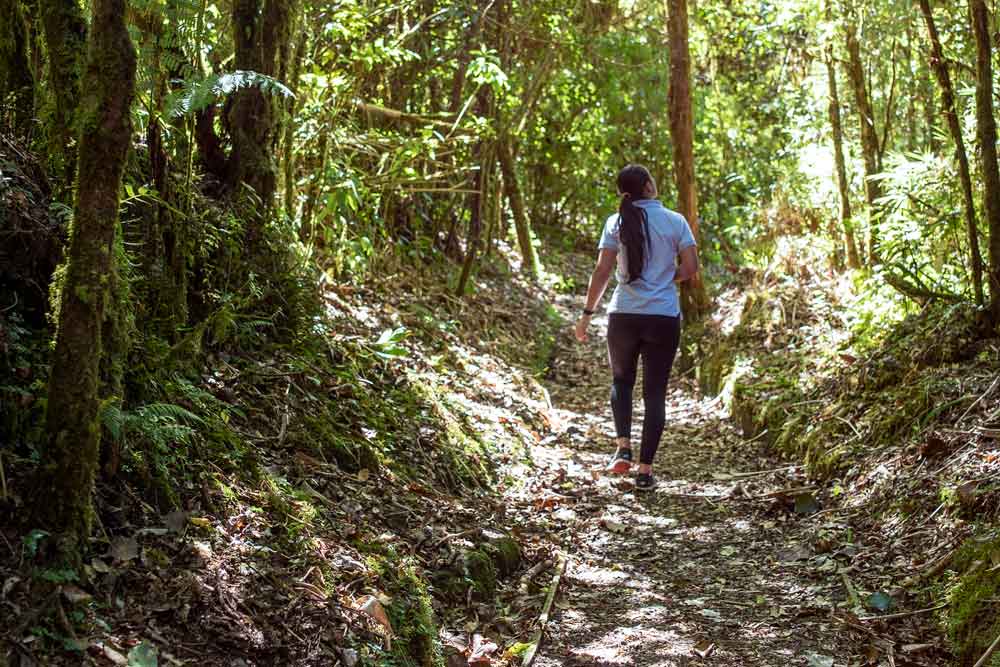 Eine Frau geht durch einen üppigen grünen Wald