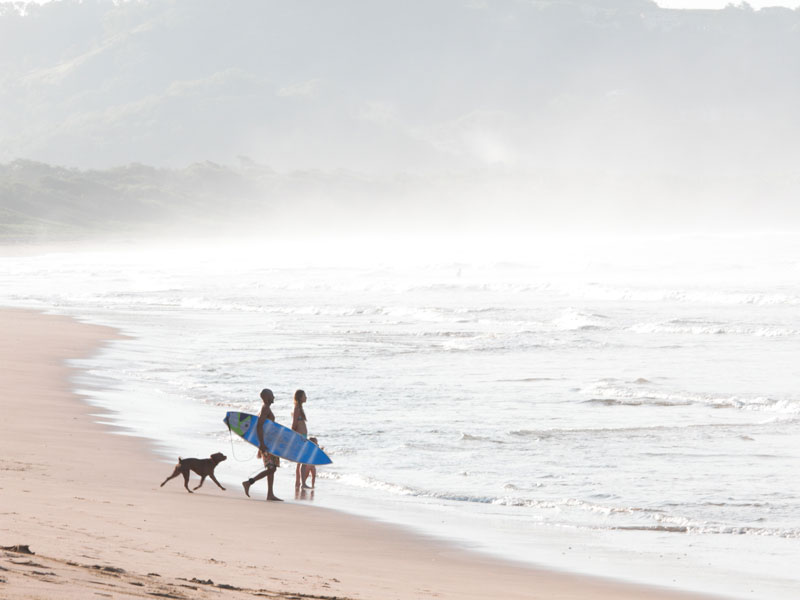 Eine Gruppe von Menschen geht mit einem Hund am Strand entlang.