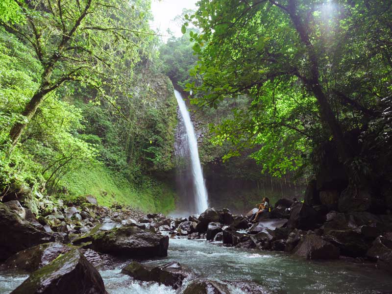 Ein kleiner Wasserfall inmitten eines Waldes.