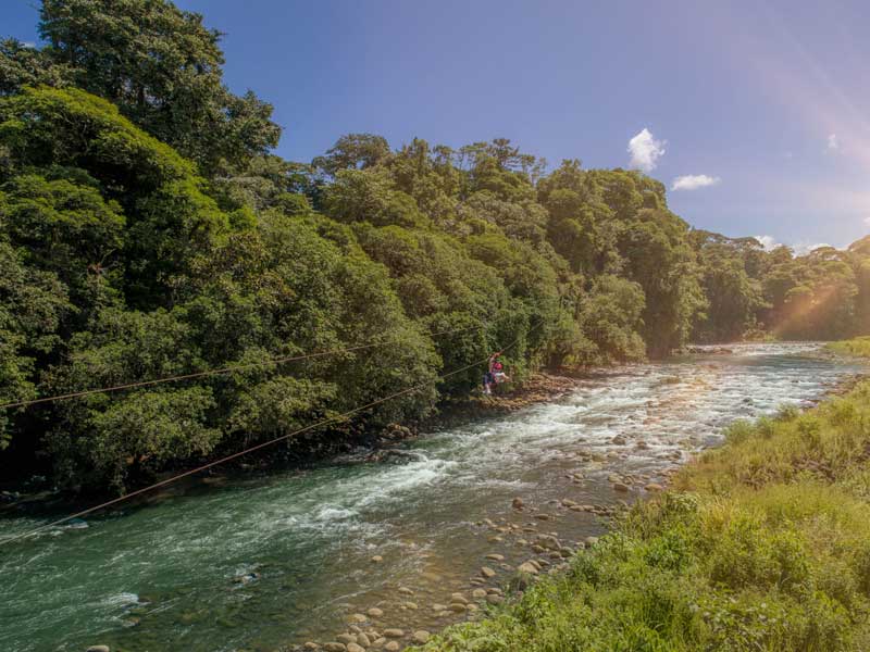 Ein Fluss, der durch einen üppigen grünen Wald fließt. 