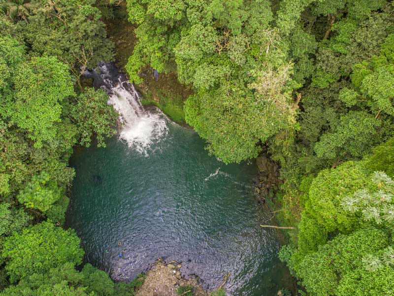 Ein Fluss, der durch einen üppigen grünen Wald fließt.