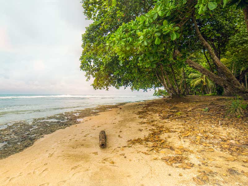 Ein Sandstrand mit Bäumen und Wasser im Hintergrund.
