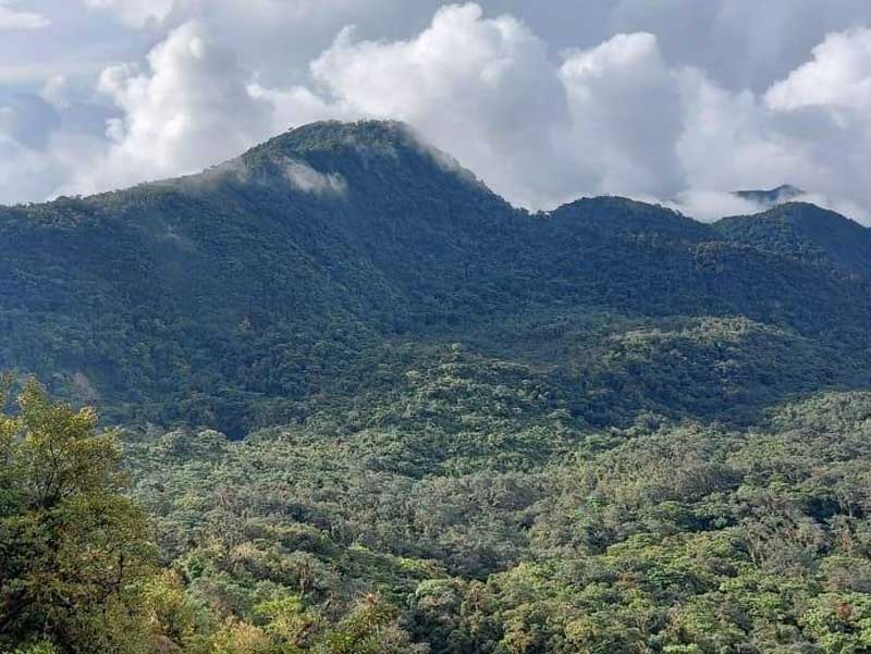 Eine Bergkette mit Bäumen und Wolken im Hintergrund. 