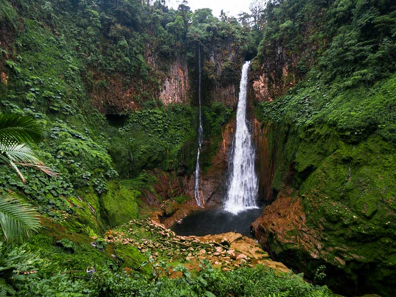 Ein Wasserfall inmitten eines üppigen grünen Waldes.