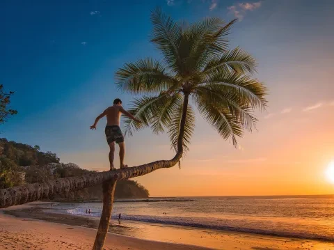 Mann geht auf einer schiefen Palme am Strand