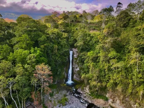 Wasserfall im Dschungel – Luftaufnahme