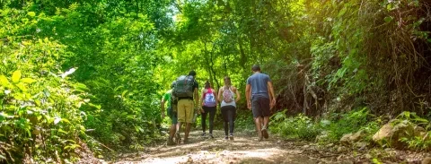 Gruppe von Personen auf einem Wanderweg 
