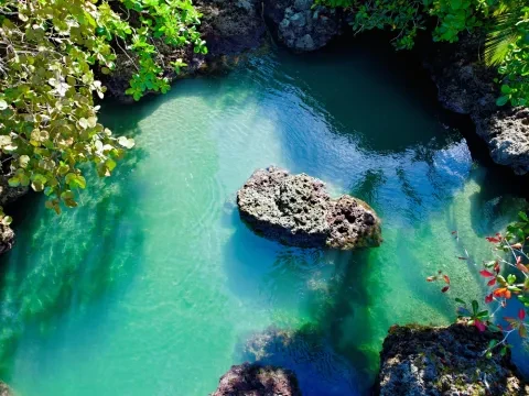 Luftaufnahme von Cahuita 