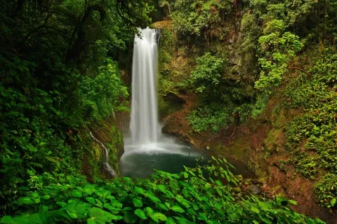 Die La Paz Waterfall Gardens mit ihrem grünen Tropenwald im Zentraltal von Costa Rica