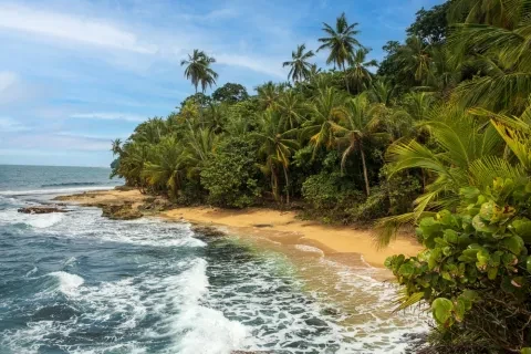 Strand mit Bäumen