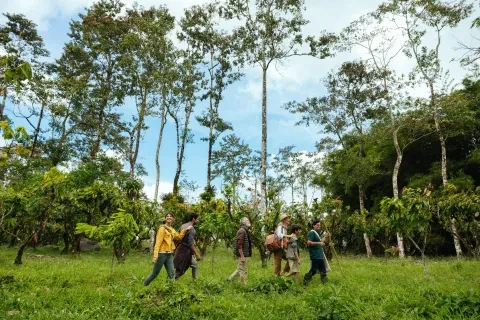 group-forest-chocolate-finca-la-amistad-rio-celeste.jpg
