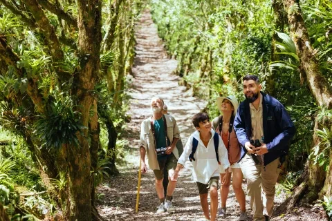 Gruppenwanderung Vogelbeobachtung
