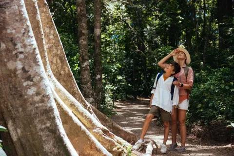 Mutter und Sohn blicken zu einem großen Baum im Wald hinauf