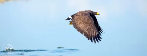banner-top-cen-by-air.jpg