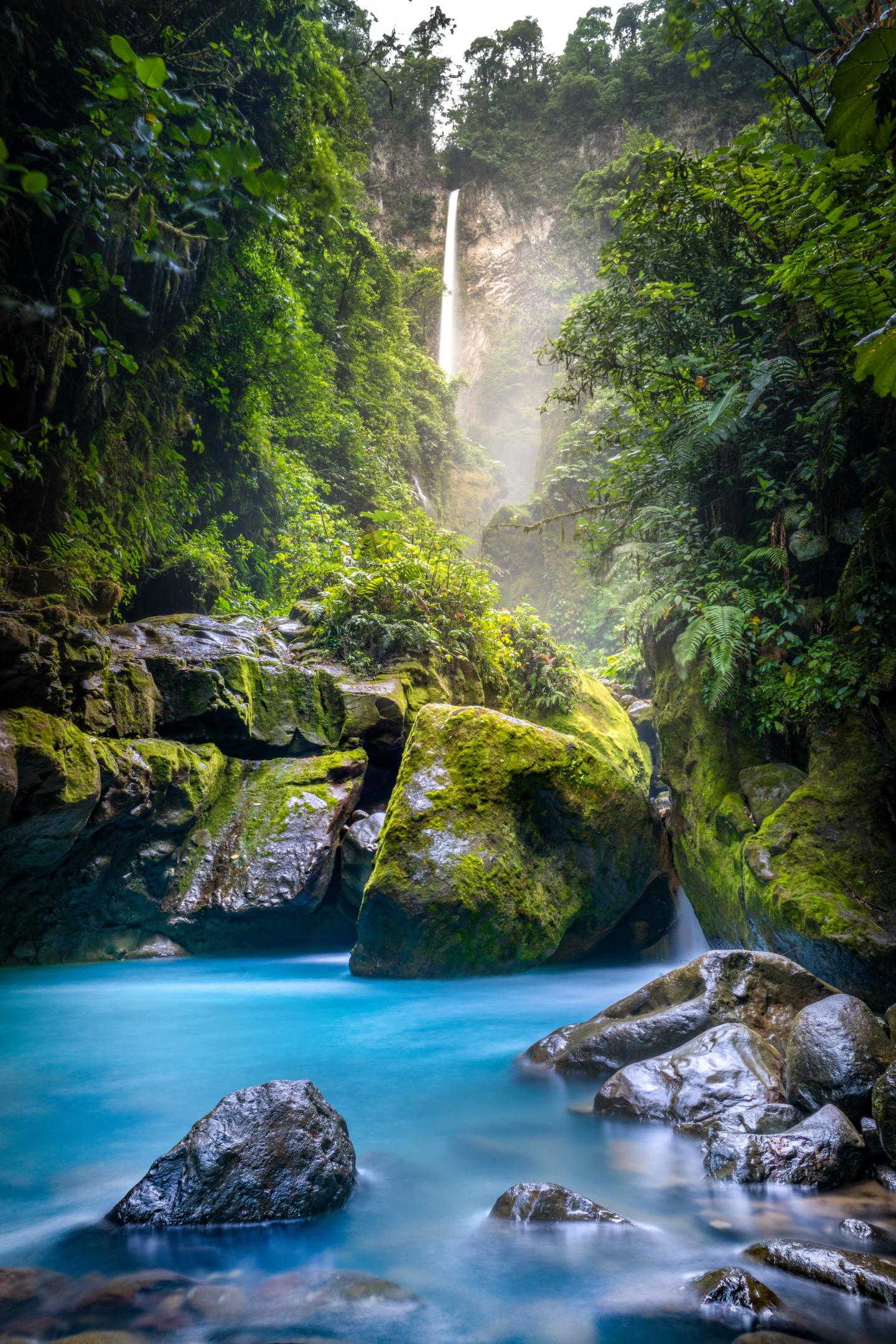Nationalpark Juan Castro Blanco