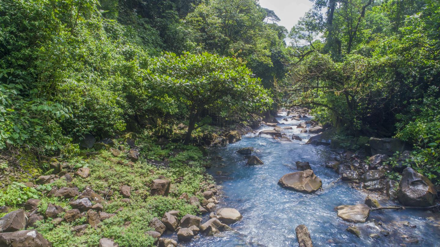 Rio Celeste im Vulkan-Nationalpark Tenorio