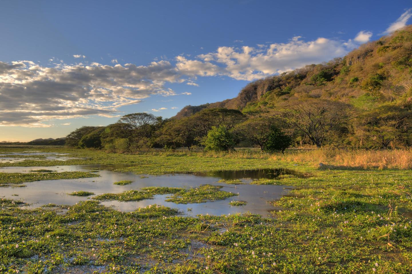 Nationalpark Palo Verde