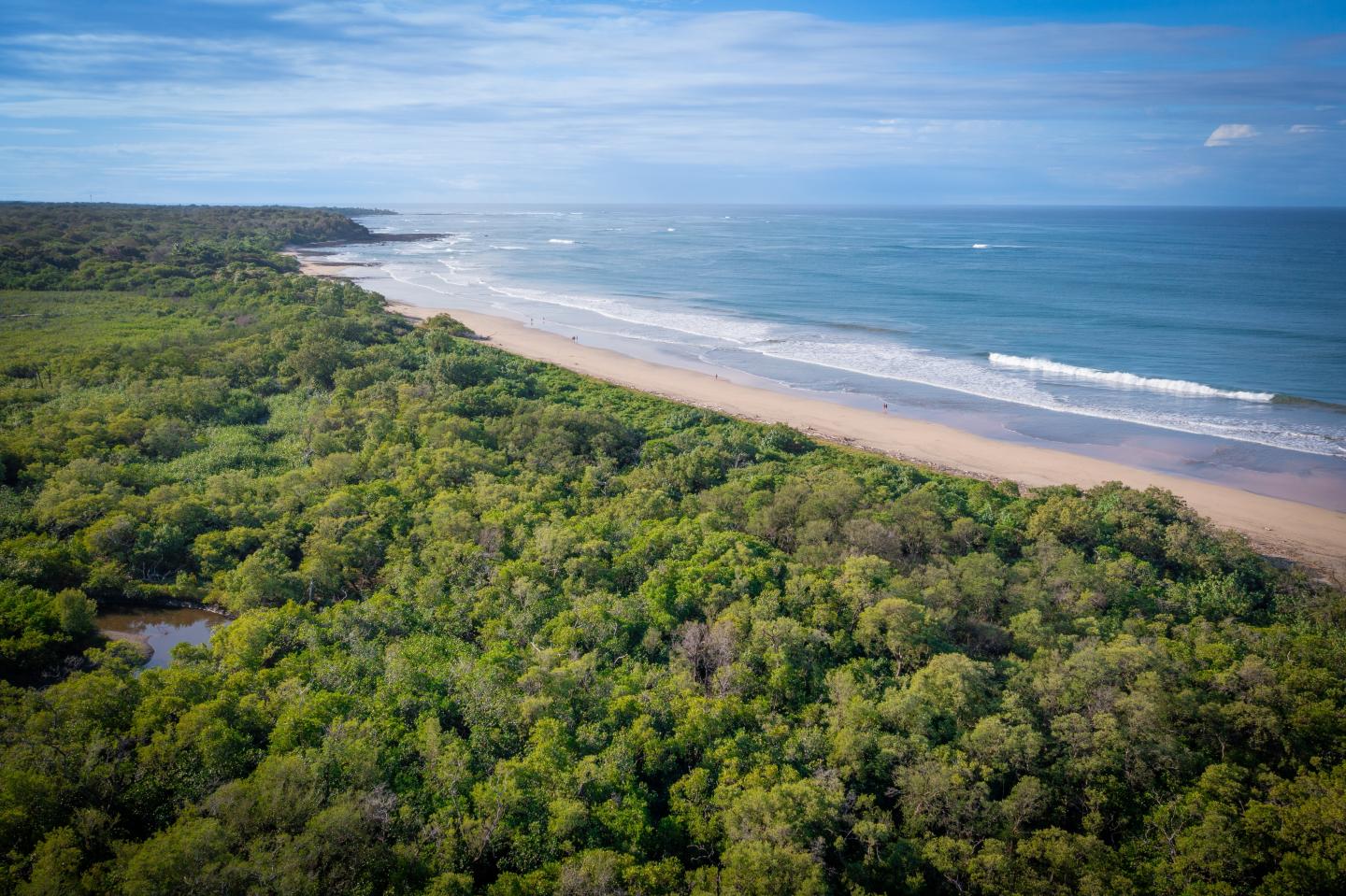 Wunderschöner Strand, Meer, Horizont und Mangrovenwald in Guanacaste, Costa Rica, Luftaufnahme