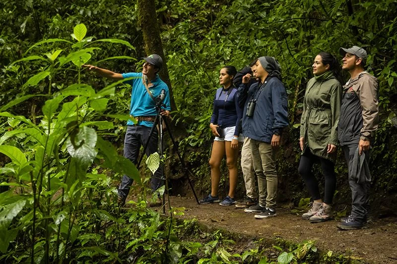 seitliche guias puntarenas.webp